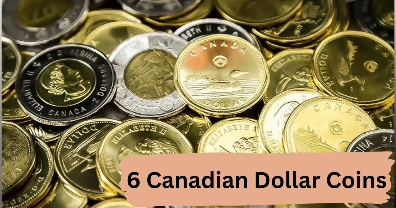 6 Canadian Dollar Coins That Could Make You Richer Than You Think—Don’t Miss These Hidden Treasures!