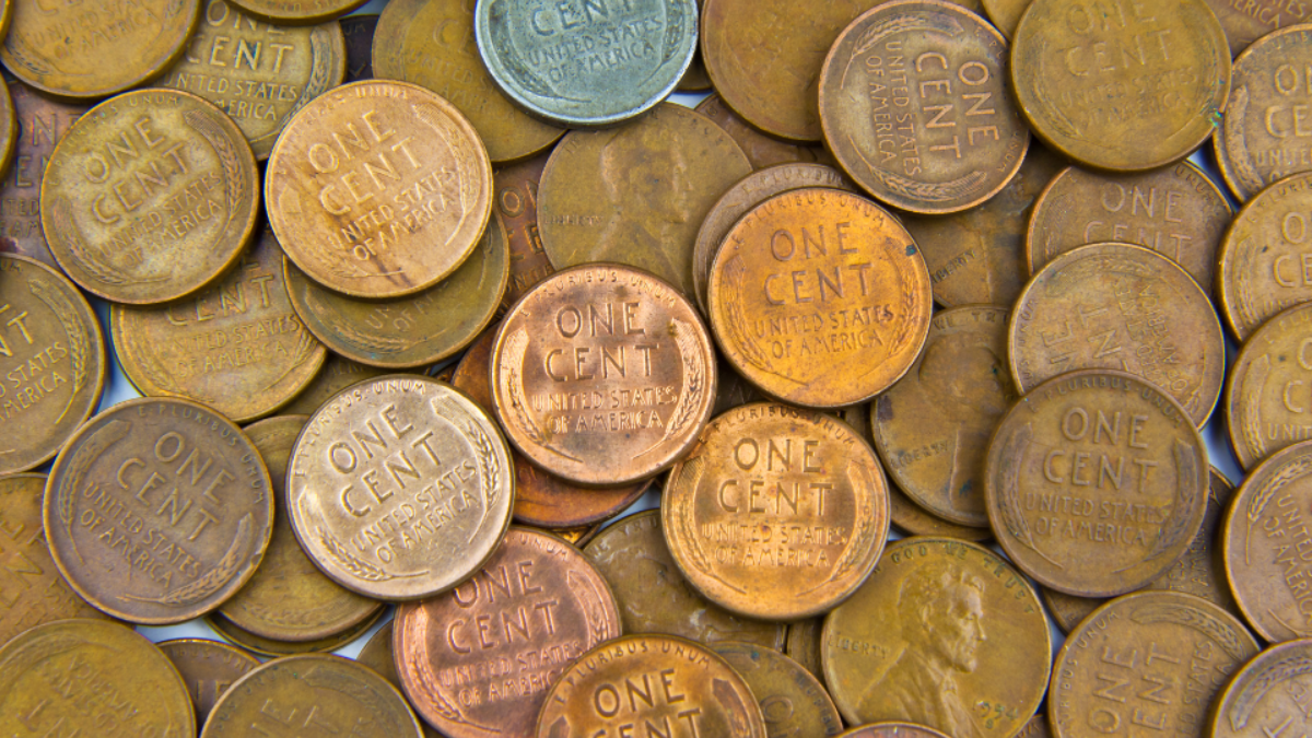 Don't Miss Out: 8 State Quarter Errors That Could Make You Rich